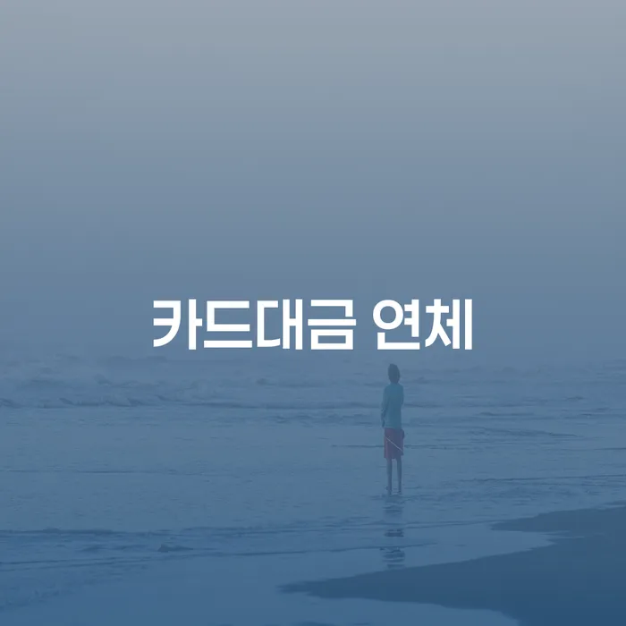 도박빚개인회생 빚 합법적인 빠른방법 관련정보
