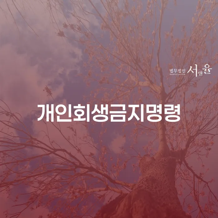 신용회생 신용회복 꼼꼼히 따져보고
