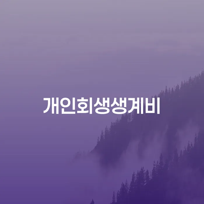 개인회생 빚청산 정해지는