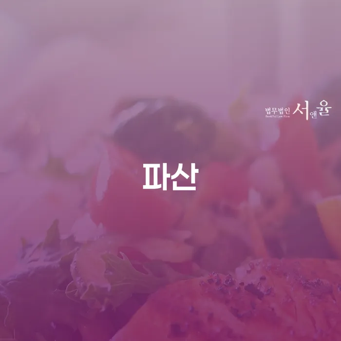 파산 카드빚 연체 확실한 진행