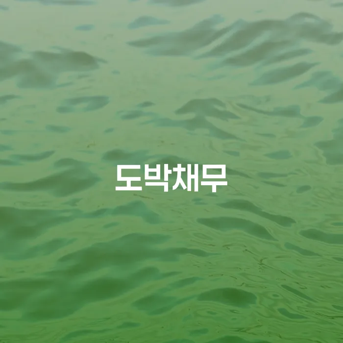 개인회생재산 채무 효과적인 해결방법 잘하는 법무법인