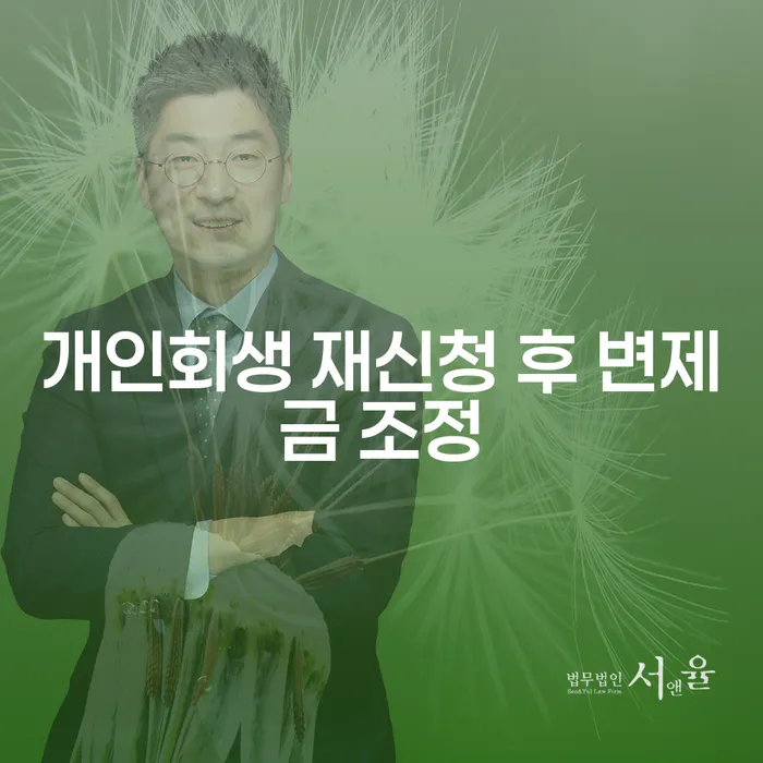 개인회생 재신청 후 변제금 조정, 어떻게 해야 할까요?