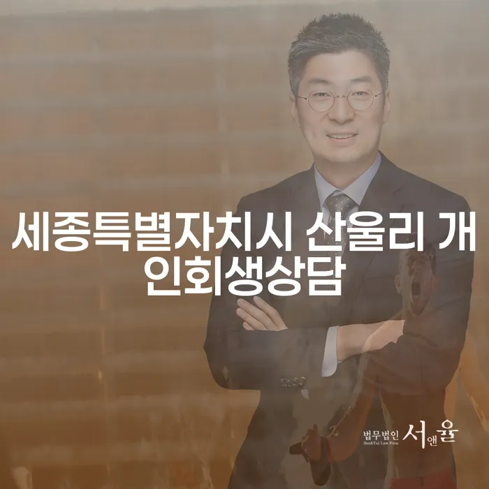 세종특별자치시 산울리에서 개인회생상담이 필요한 이유는 무엇일까요?